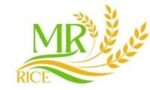 mrrices.com